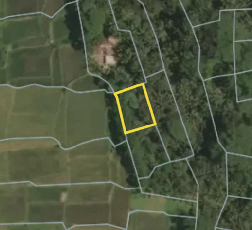 Magical Prime Land in Pejeng