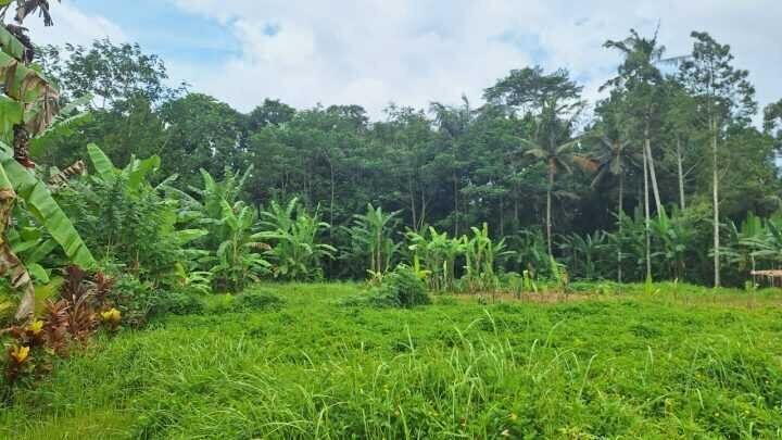 Riverside Land in Payangan, Ubud