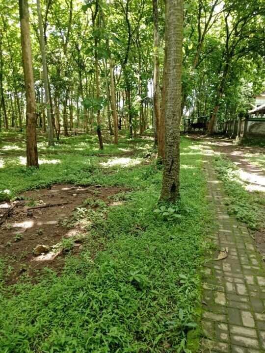 Land for Sale in Kaba-Kaba