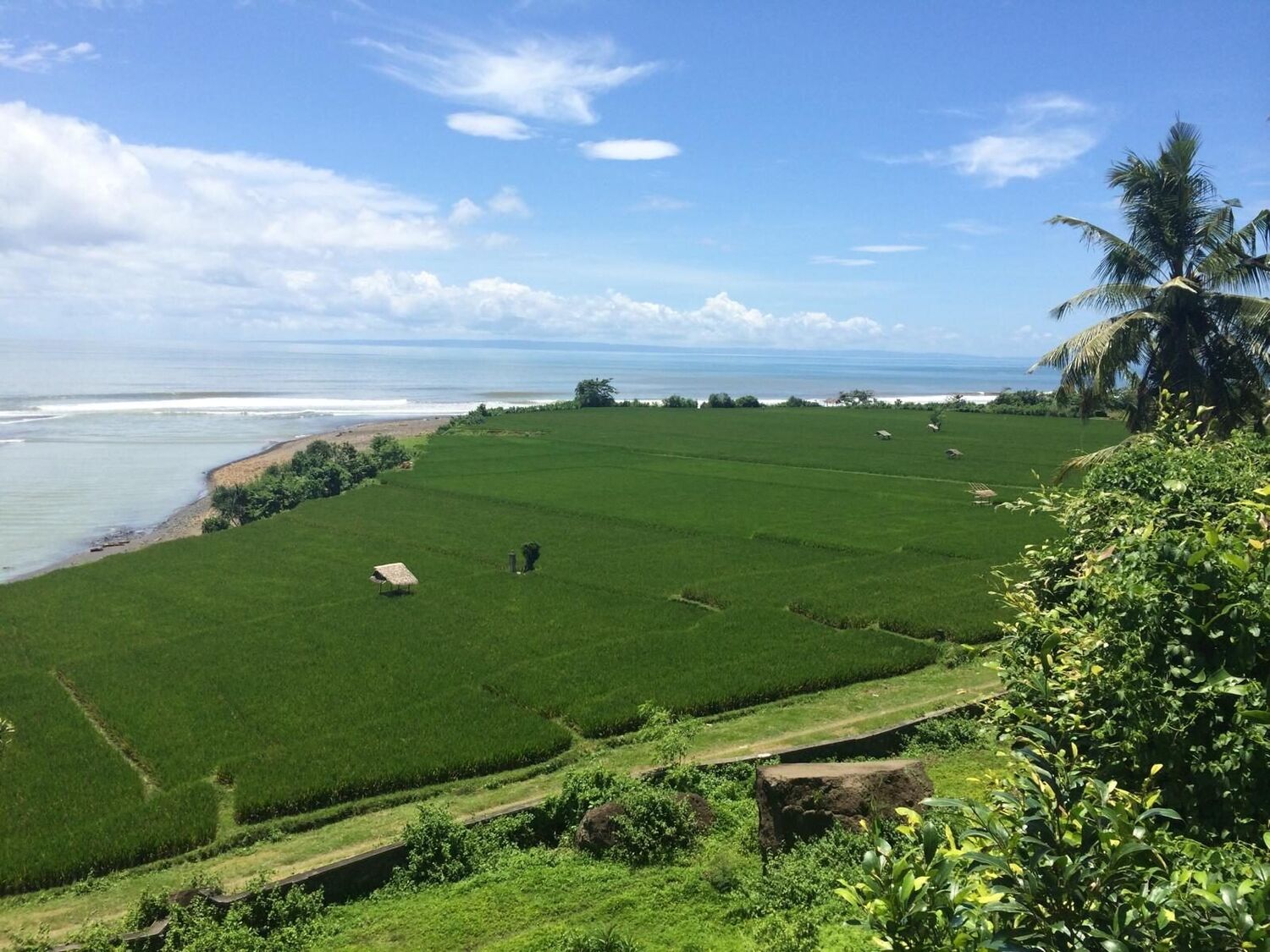 Tanah Eksklusif di Puncak Tebing di Medewi – Panorama Laut dengan Pemandangan Selancar & Sungai — Property ID JU795