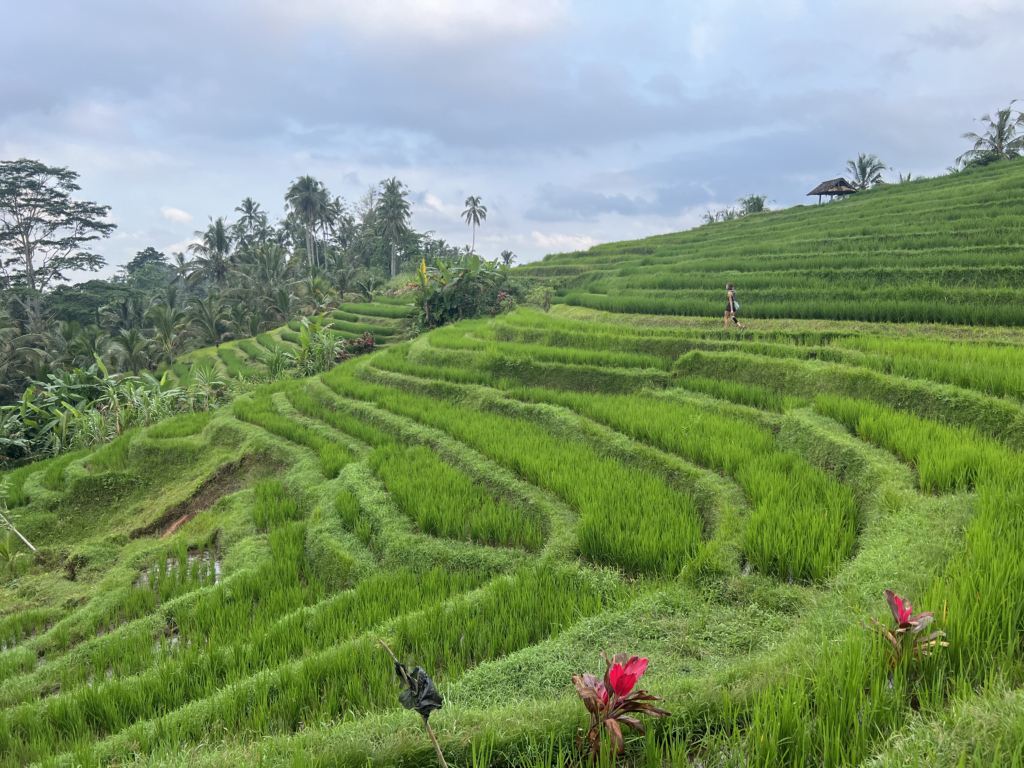 Propriété franche vs bail à Bali