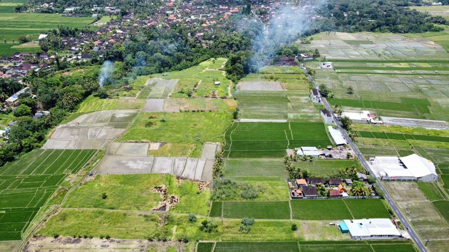 Serene Freehold Land Plots for Sale in Kaba-Kaba – Surrounded by Nature & Close to Canggu — Property ID DI821