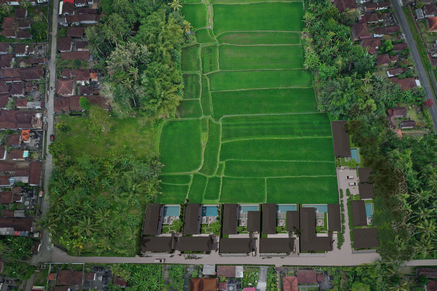 Tranquil Rice Field Villas in Pejeng – Spacious 2 & 3 Bedroom Homes with Uninterrupted Views — Property ID SC861