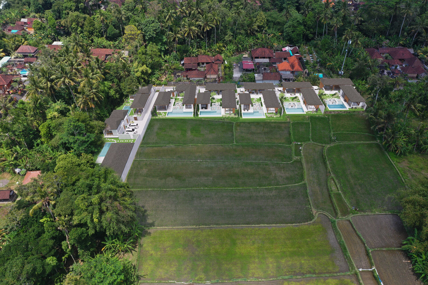 Tranquil Rice Field Villas in Pejeng – Spacious 2 & 3 Bedroom Homes with Uninterrupted Views — Property ID SC861