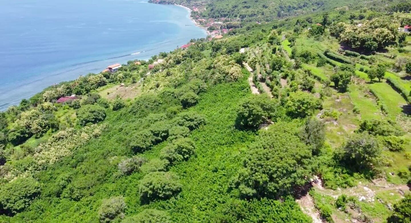 Freehold Land for Sale in Batununggul, Nusa Penida – Prime Development Plot with Sea View Potential — Property ID FA881
