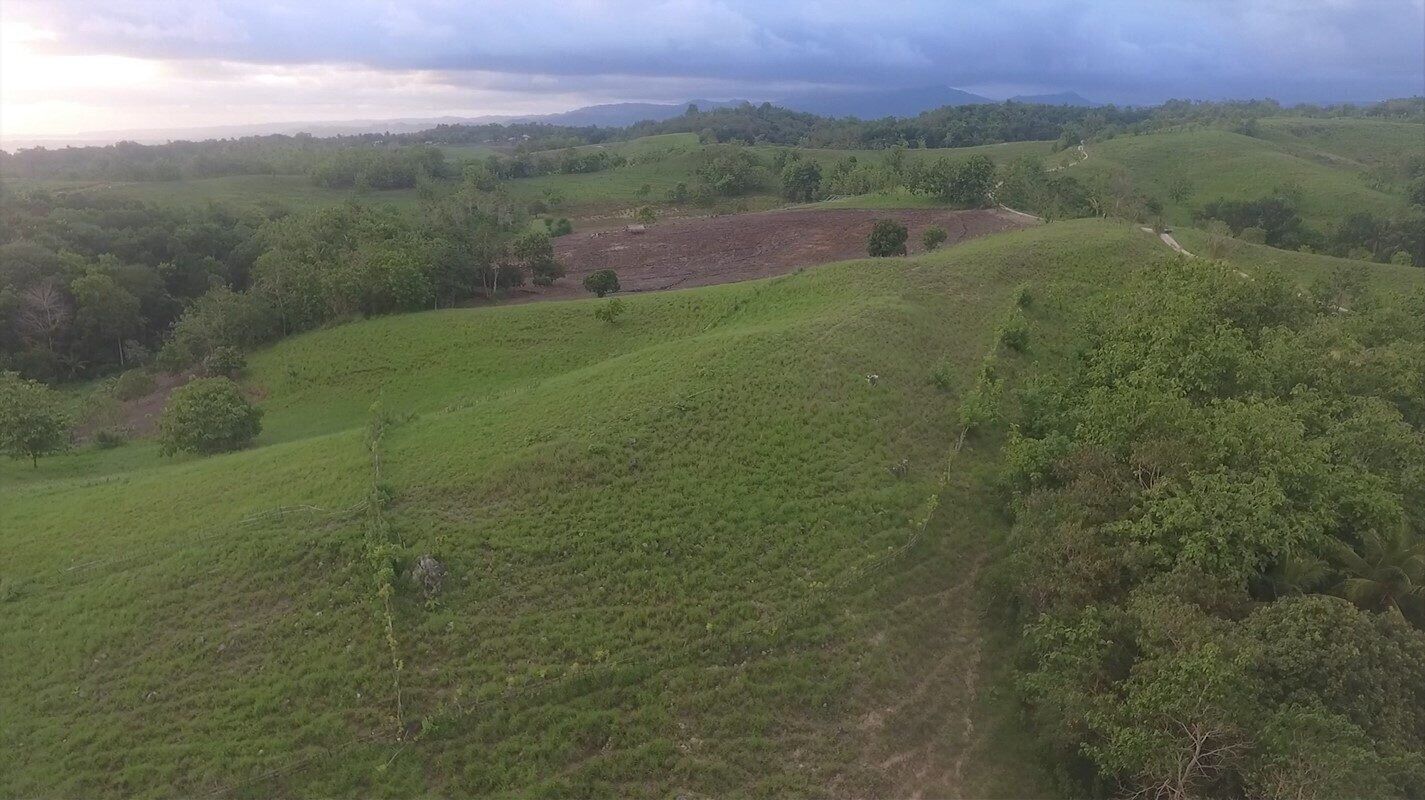 Land for Sale in Sumba – 1.7 Hectares in Rua Wanokaka, West Sumba — Property ID DE894