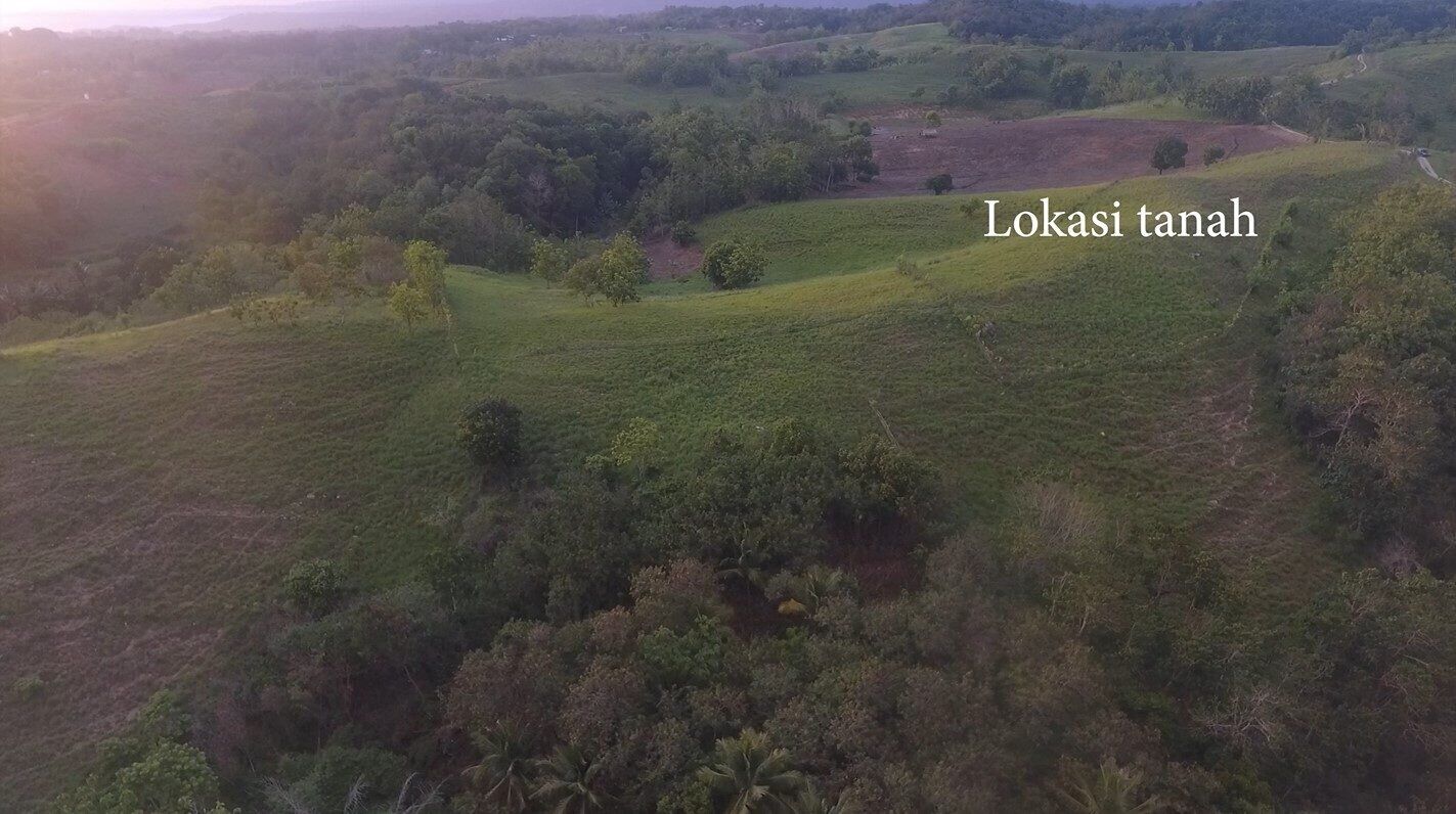 Land for Sale in Sumba – 1.7 Hectares in Rua Wanokaka, West Sumba — Property ID DE894
