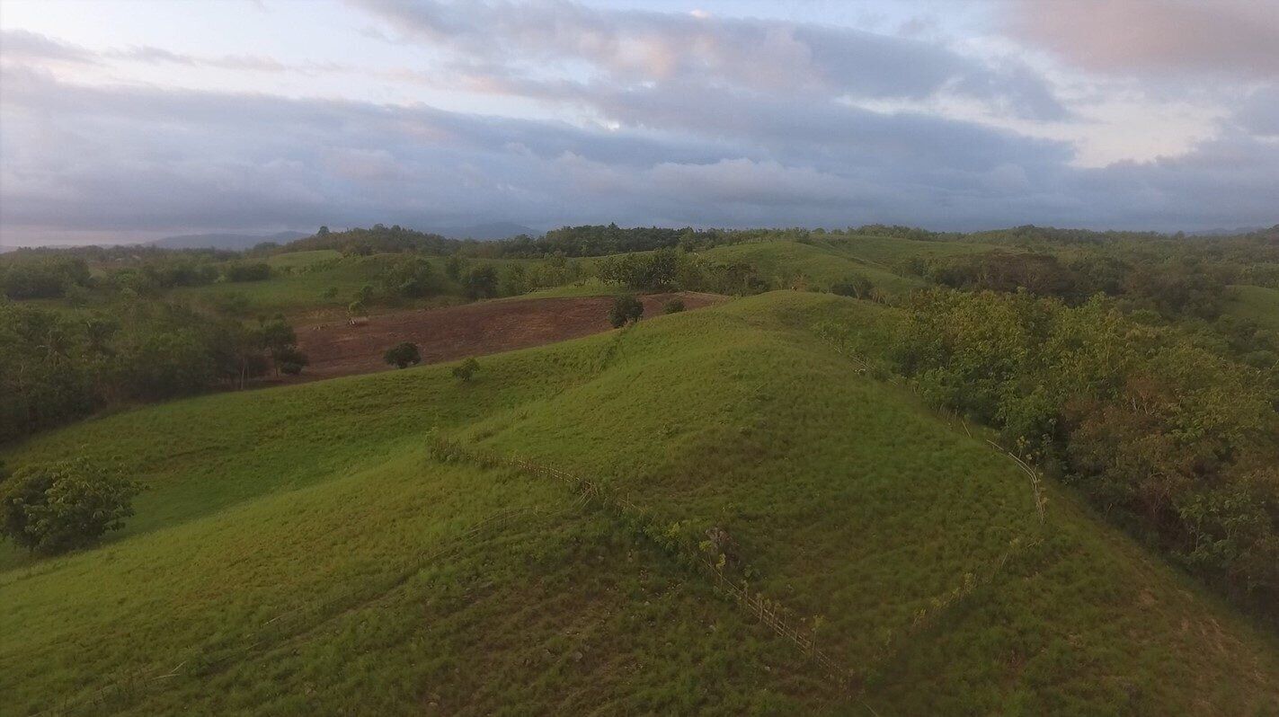 Land for Sale in Sumba – 1.7 Hectares in Rua Wanokaka, West Sumba — Property ID DE894