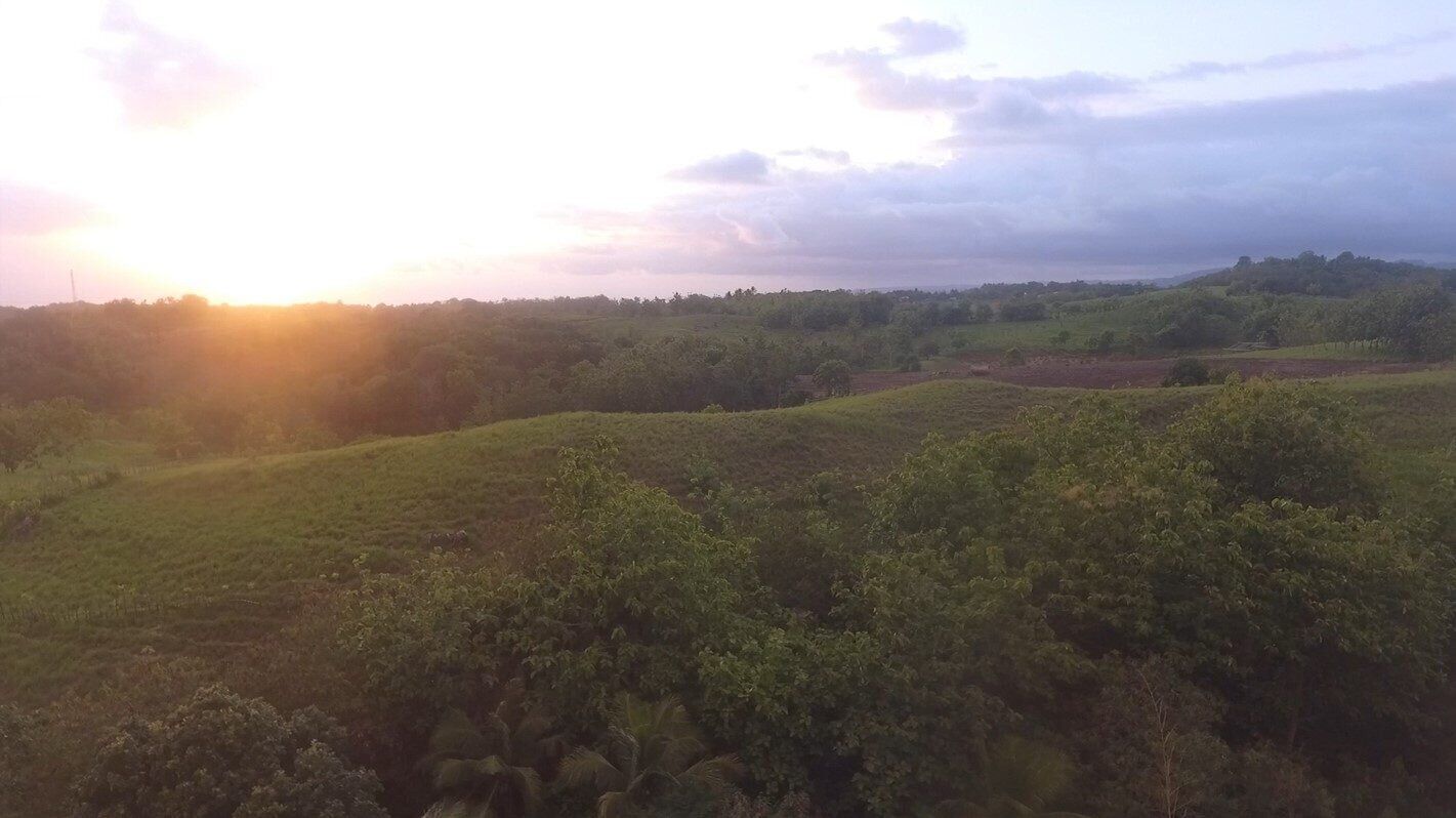Land for Sale in Sumba – 1.7 Hectares in Rua Wanokaka, West Sumba — Property ID DE894
