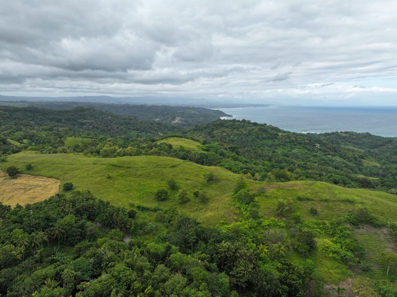 Land for Sale in Sumba – 1.7 Hectares in Rua Wanokaka, West Sumba — Property ID DE894