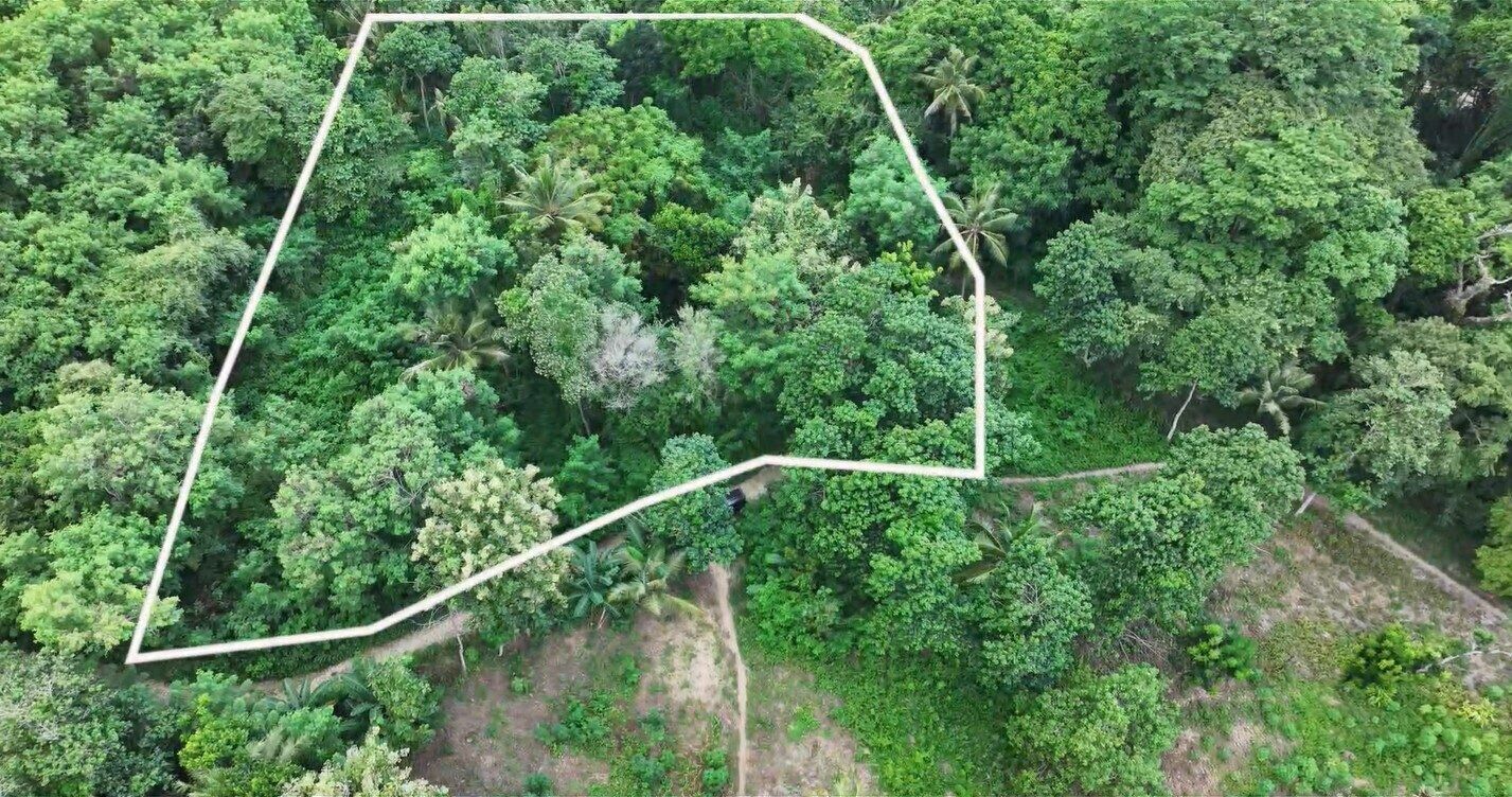 Land for Sale with Ocean View – 4,007 m² in Rua, Wanokaka, West Sumba — Property ID DE897
