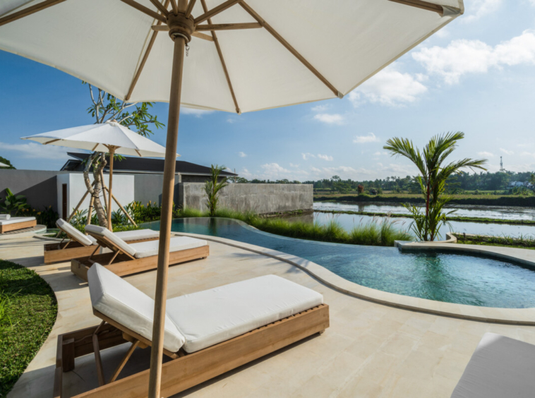 Elegant Modern Villa with Rice Field View in Mas, Ubud — ID Properti SC936