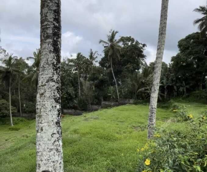 Opportunité de terre dorée à Ubud