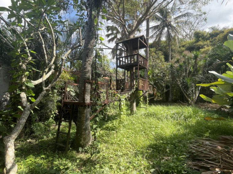 Restaurant rentable à vendre près de Tegunungan