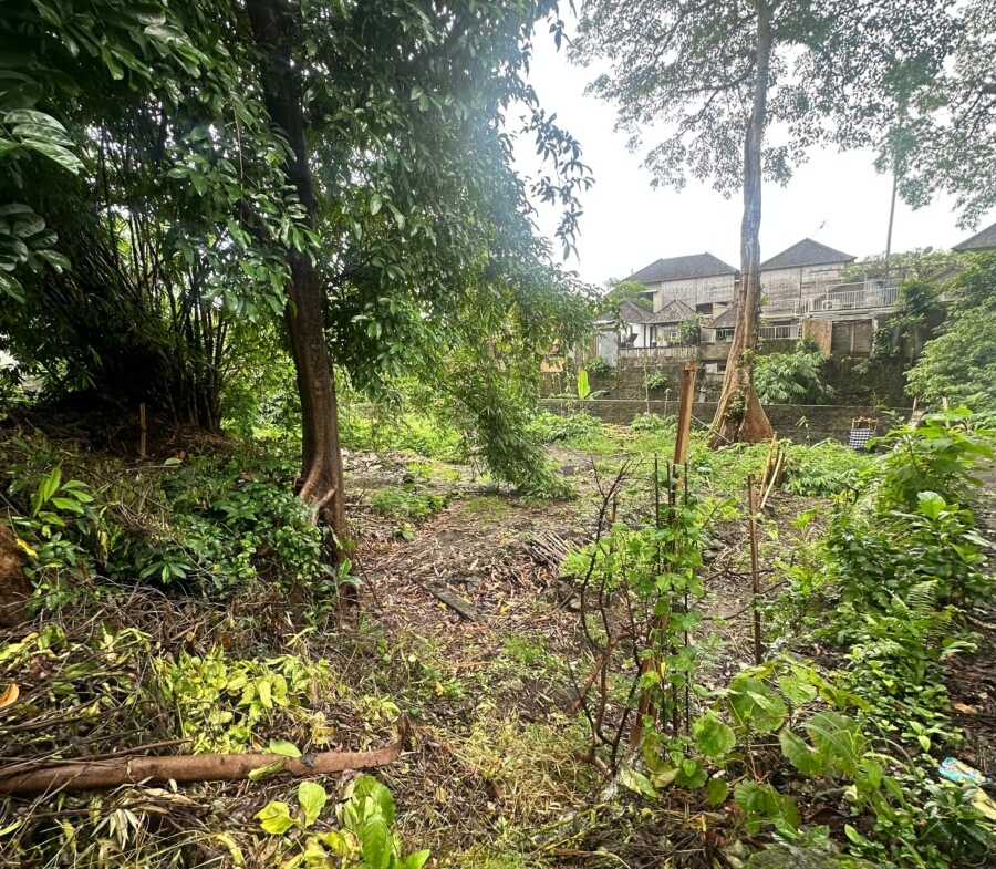 Land for Lease in Umalas – Prime Residential Plot Near French School — Property ID DI914