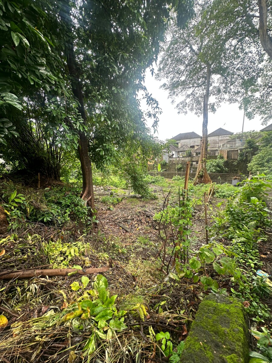 Land for Lease in Umalas – Prime Residential Plot Near French School — Property ID DI914