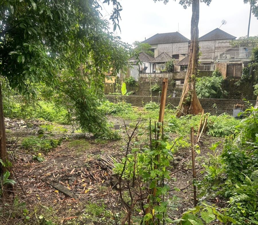 Land for Lease in Umalas – Prime Residential Plot Near French School — Property ID DI914
