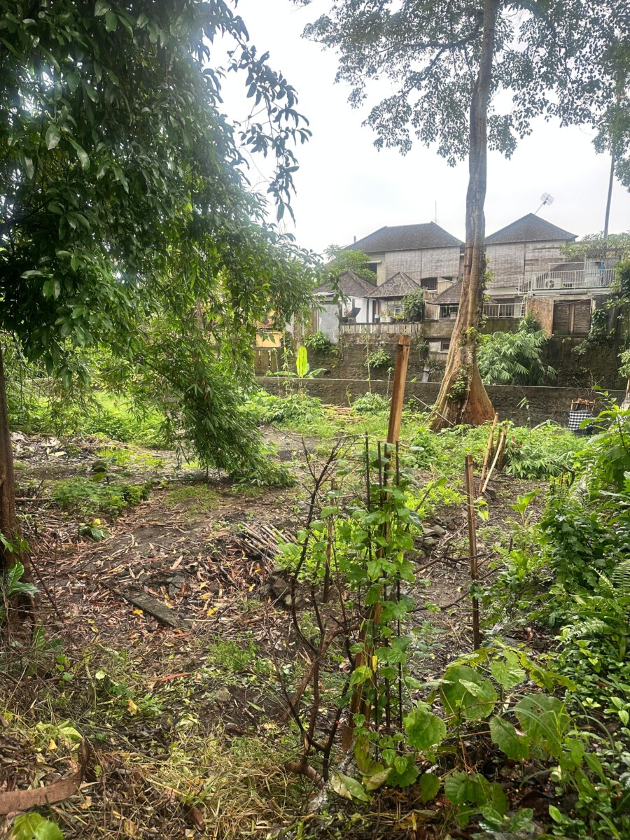 Land for Lease in Umalas – Prime Residential Plot Near French School — Property ID DI914