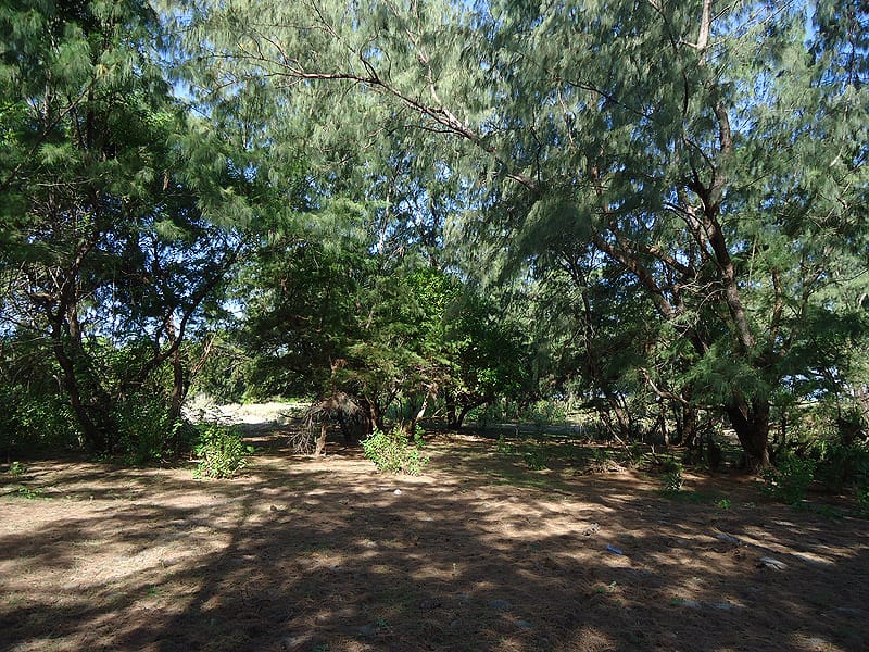 1 Hectare of Land for Sale in East Sumba, Kalala Beach – Surfing Spot — Property ID DE793
