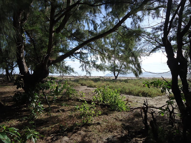 1 Hectare of Land for Sale in East Sumba, Kalala Beach – Surfing Spot — Property ID DE793