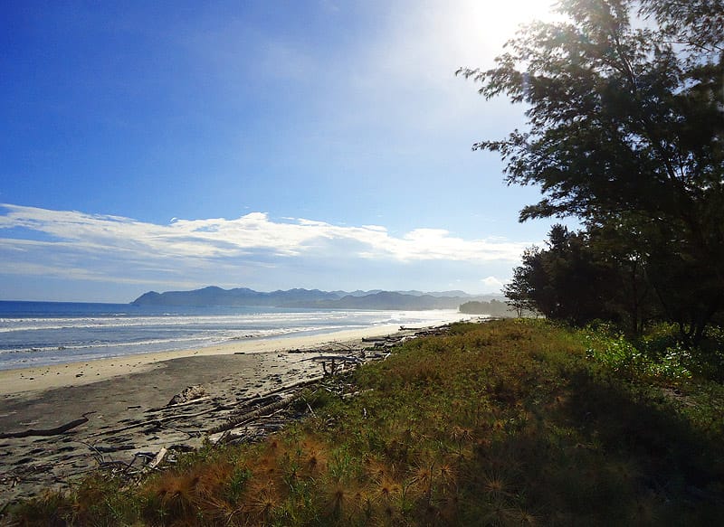 1 Hectare of Land for Sale in East Sumba, Kalala Beach – Surfing Spot — Property ID DE793