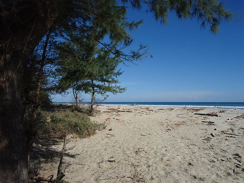 1 Hectare of Land for Sale in East Sumba, Kalala Beach – Surfing Spot — Property ID DE793