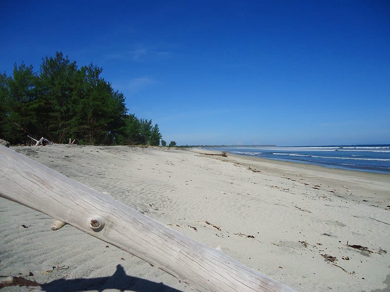 1 Hectare of Land for Sale in East Sumba, Kalala Beach – Surfing Spot — Property ID DE793