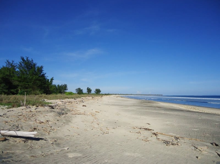1 hectare de terrain à vendre à East Sumba, Kalala Beach – spot de surf — Property ID DE793