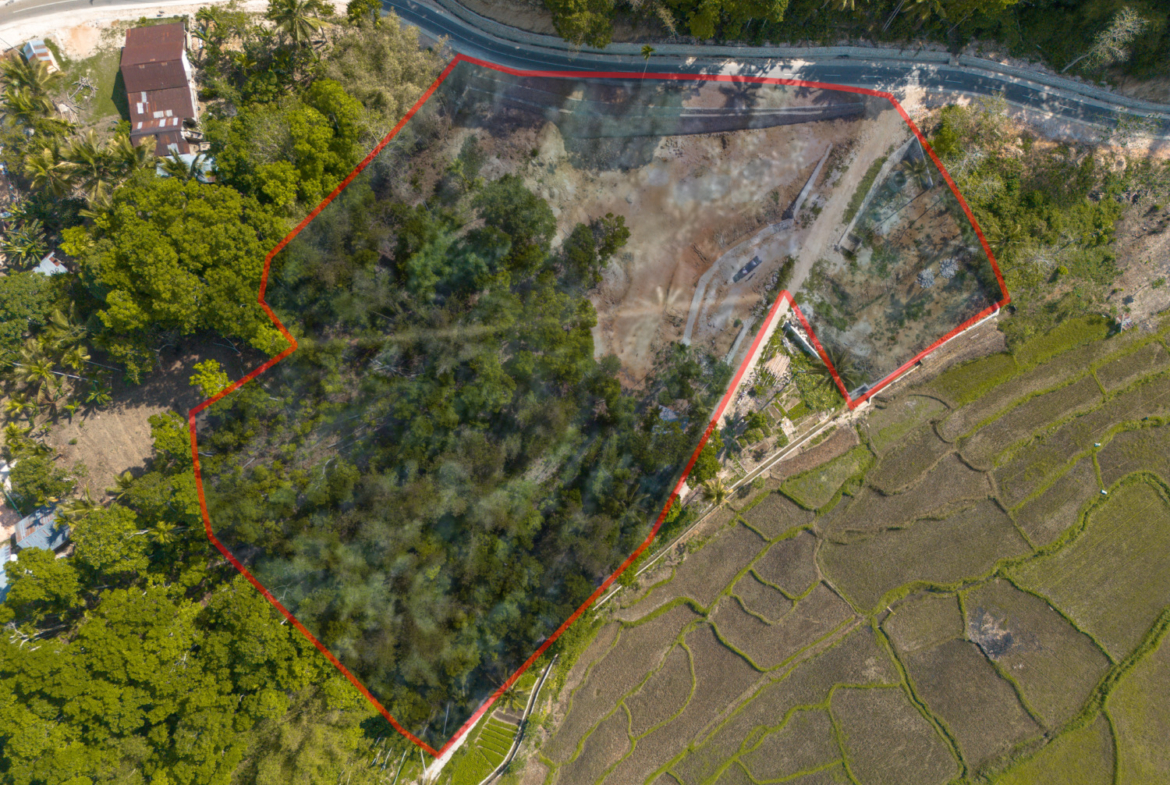 Freehold Land for Sale – 71 Are in Waikacura, Sumba – Near Wee Kucara Waterfall — Property ID DE896