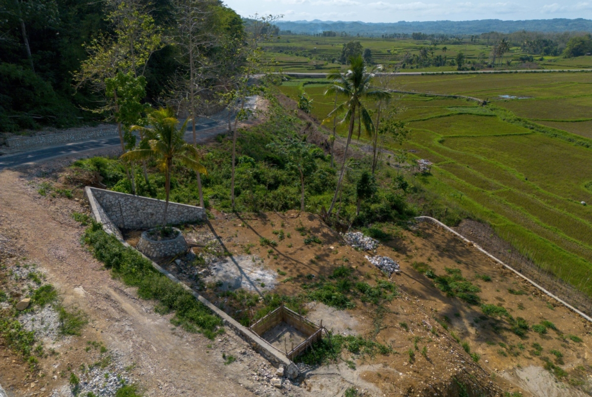 Freehold Land for Sale – 71 Are in Waikacura, Sumba – Near Wee Kucara Waterfall — Property ID DE896
