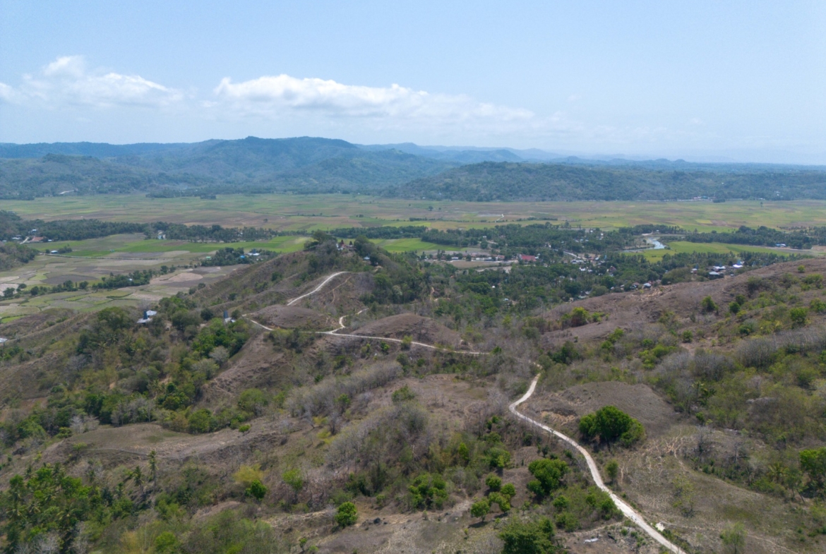 Freehold Land for Sale in Wanokaka, Sumba – 2.6 Hectares with Ocean Views — Property ID DE903