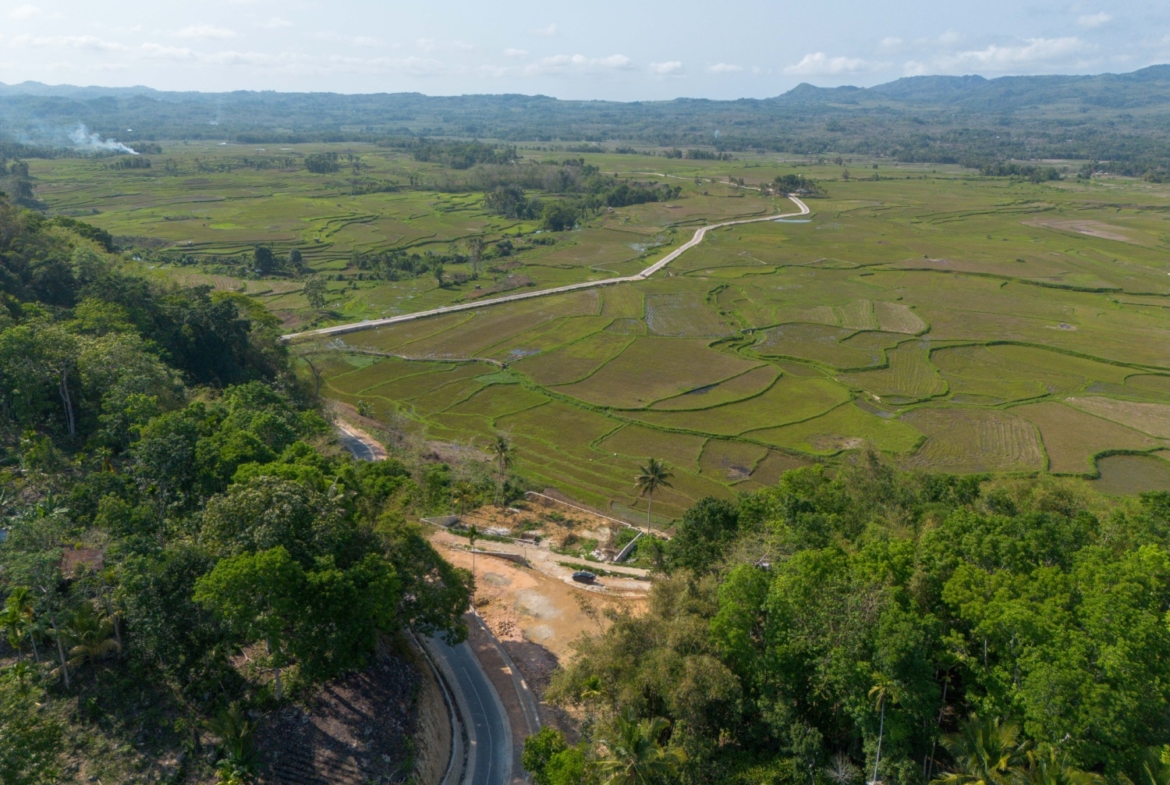 Freehold Land for Sale – 71 Are in Waikacura, Sumba – Near Wee Kucara Waterfall — Property ID DE896