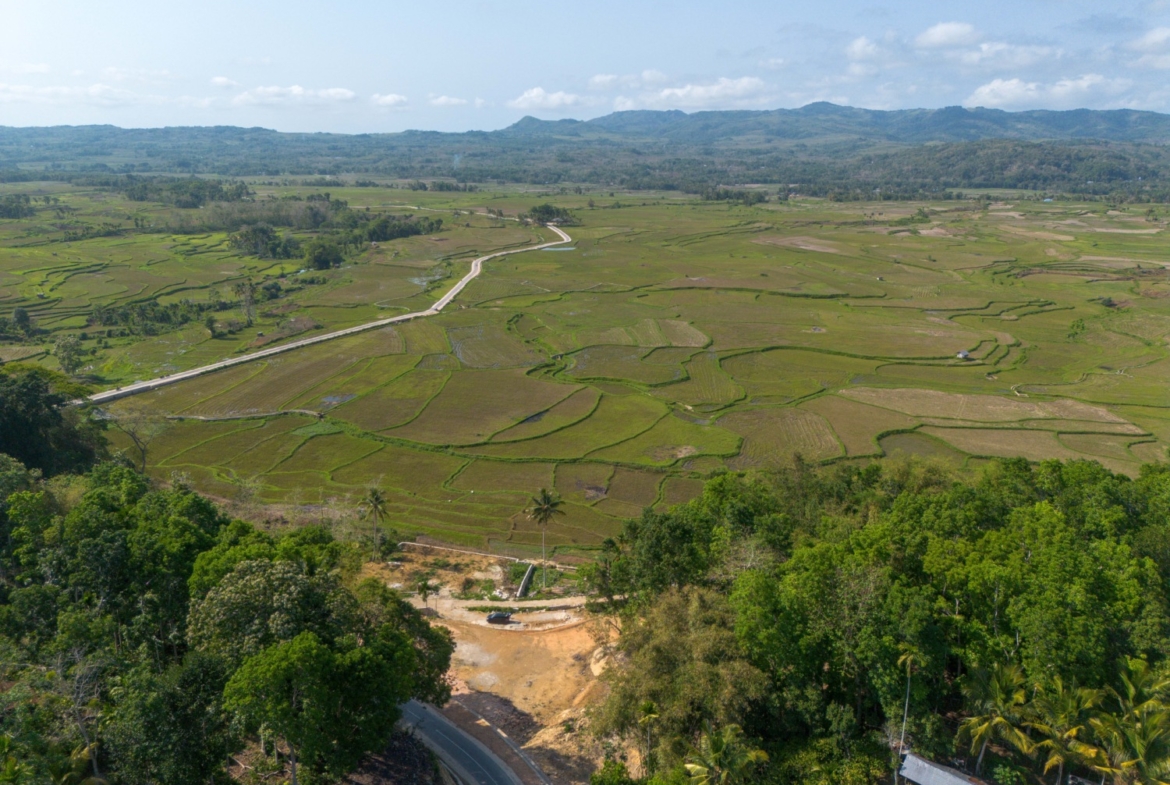 Freehold Land for Sale – 71 Are in Waikacura, Sumba – Near Wee Kucara Waterfall — Property ID DE896