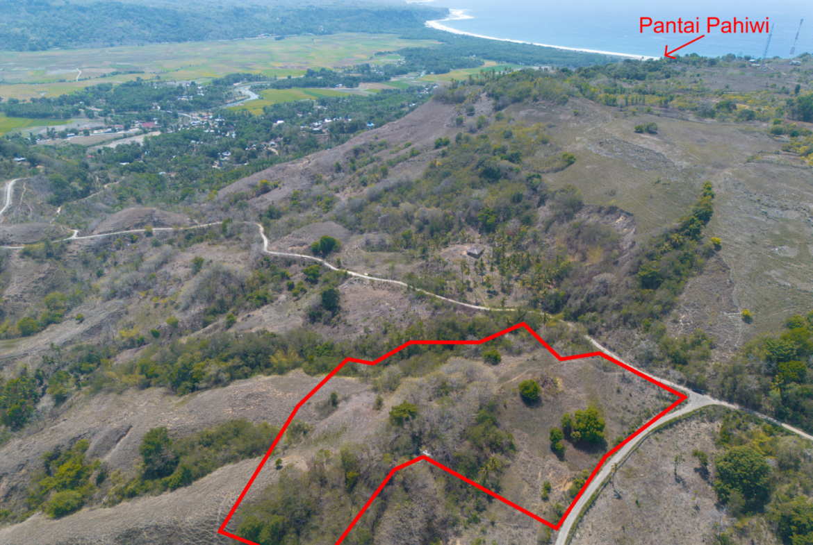 Freehold Land for Sale in Wanokaka, Sumba – 2.6 Hectares with Ocean Views — Property ID DE903