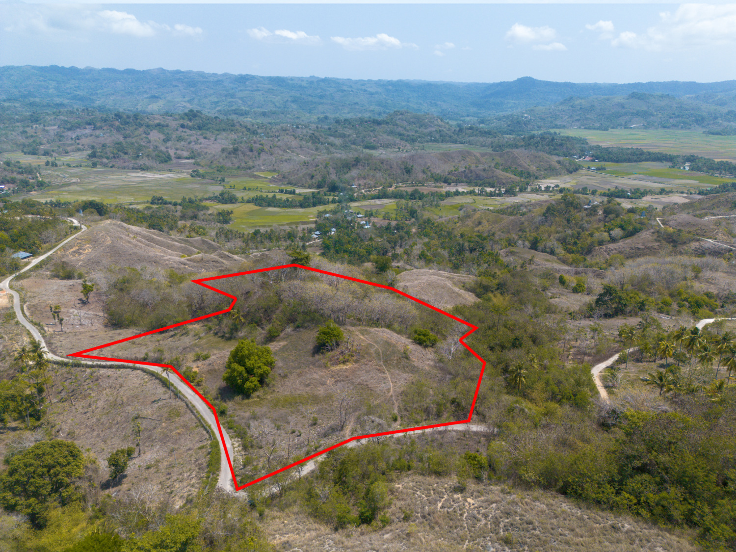 Freehold Land for Sale in Wanokaka, Sumba – 2.6 Hectares with Ocean Views — Property ID DE903