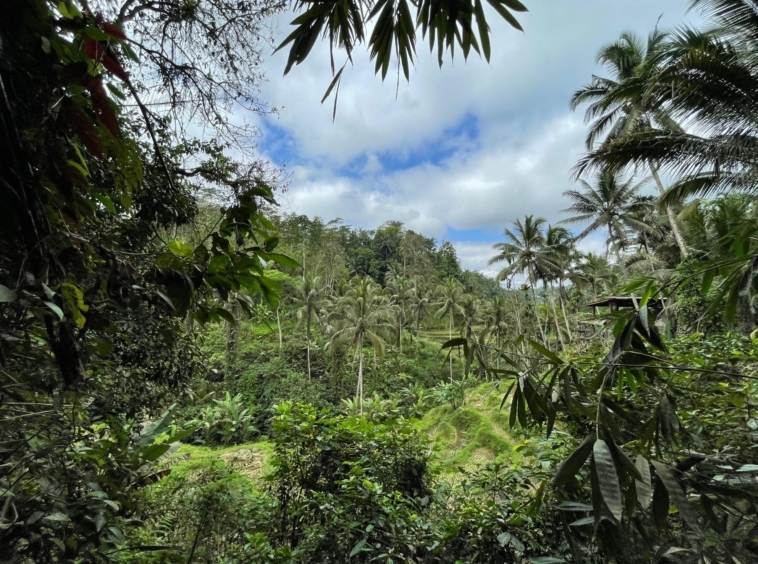 Riverside Land for Lease in Ubud