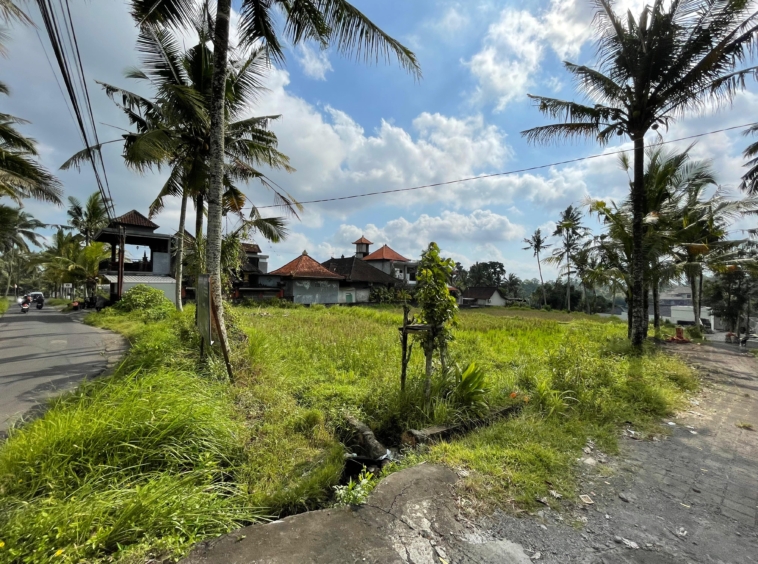 Leasehold Land in Ubud