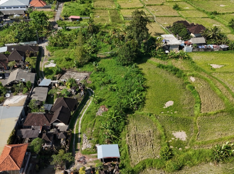 Pink Zone Land in Ubud with Rice Field Views for Sale