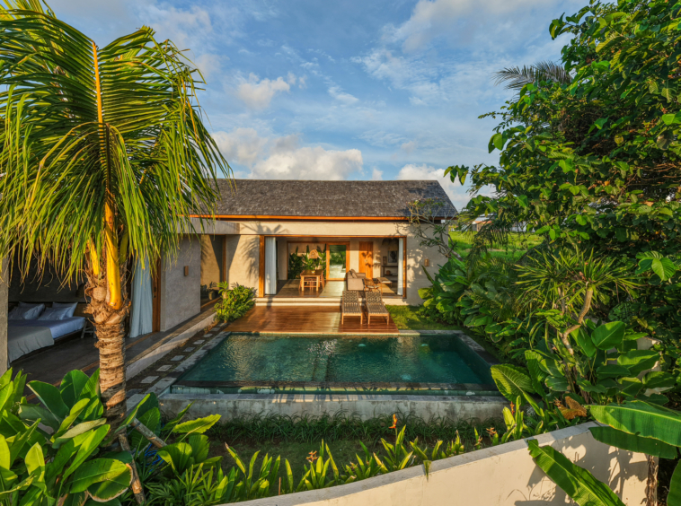 Vila Modern dengan Pemandangan Sawah Dijual di Seseh