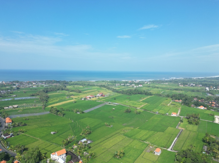 Land for Sale in Tanah Lot