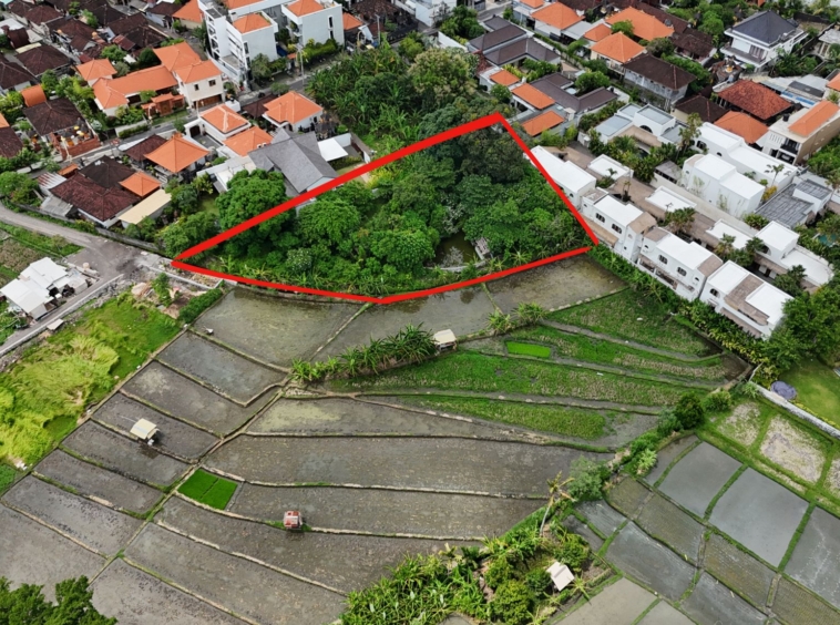 Leasehold Land For Sale in Umalas With Rice Field View