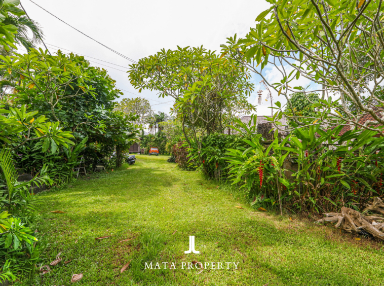 Leasehold Land in Pererenan for Sale