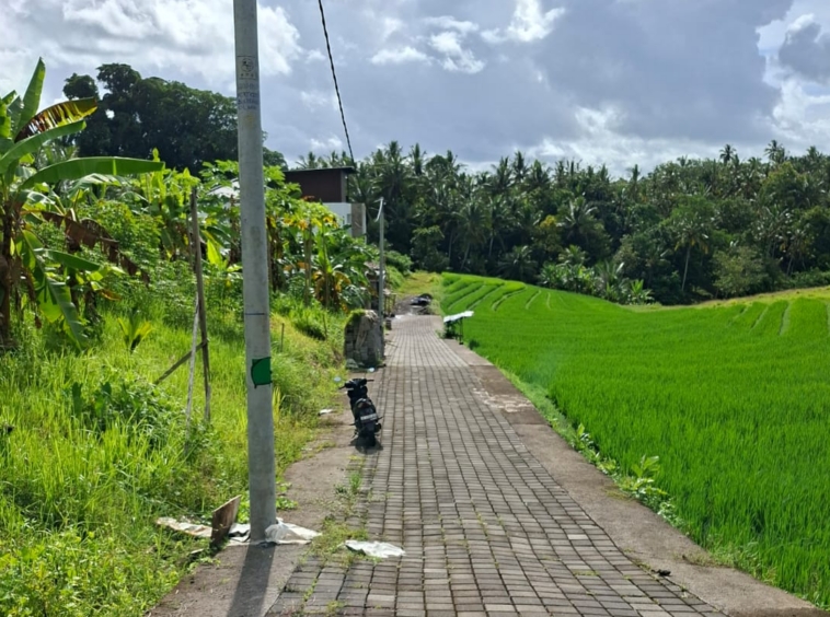 Freehold Land in Tabanan for Sale with Growth Potentia
