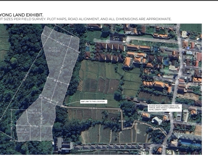 Land in Central Ubud for Sale with Scenic Views