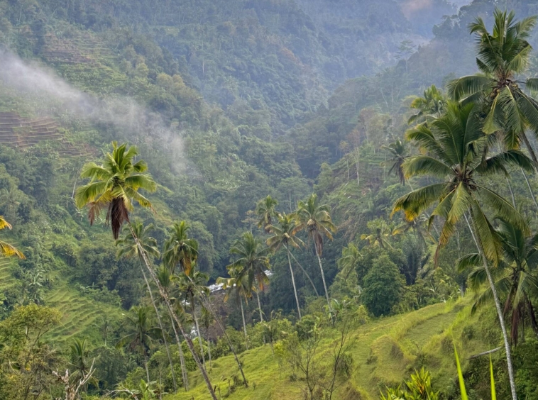 Land in Sidemen for Sale with Stunning Views