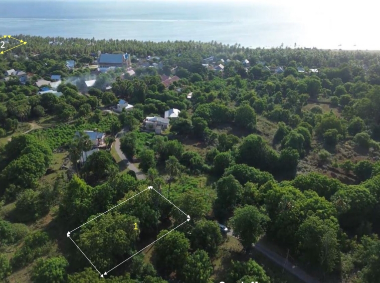 Land Near the Ocean in Rote Island for Sale Opportunity