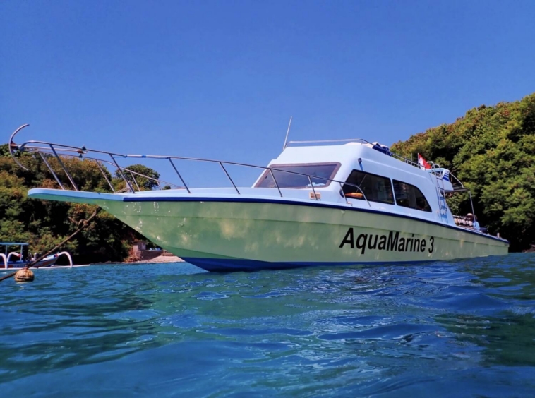 Scuba Diving Business for Sale in Bali