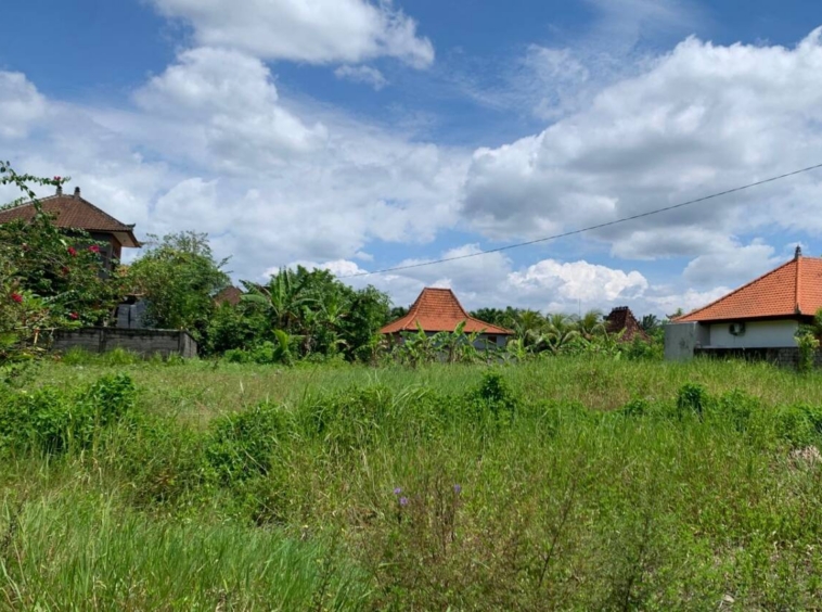 5 Are Pink-Zone Land in Penestanan